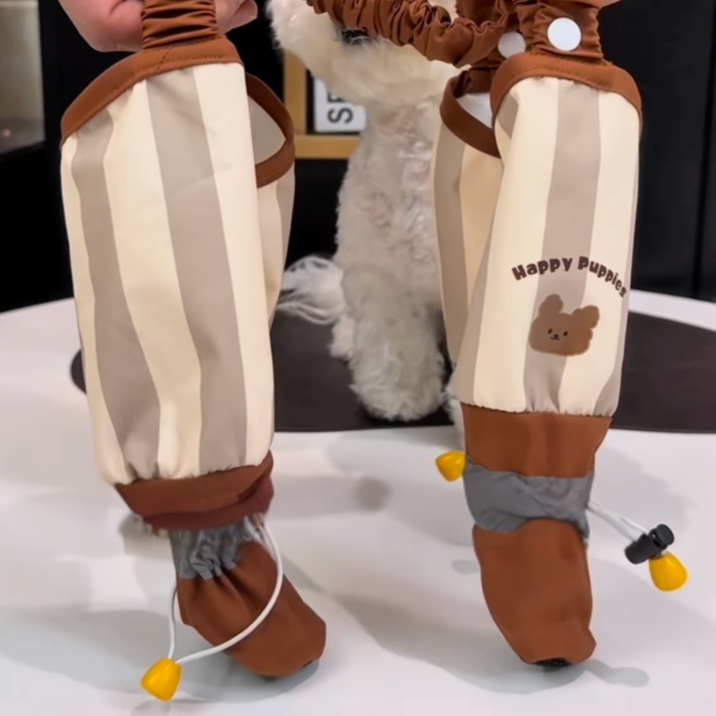 Chewie Viral Cozy Pants