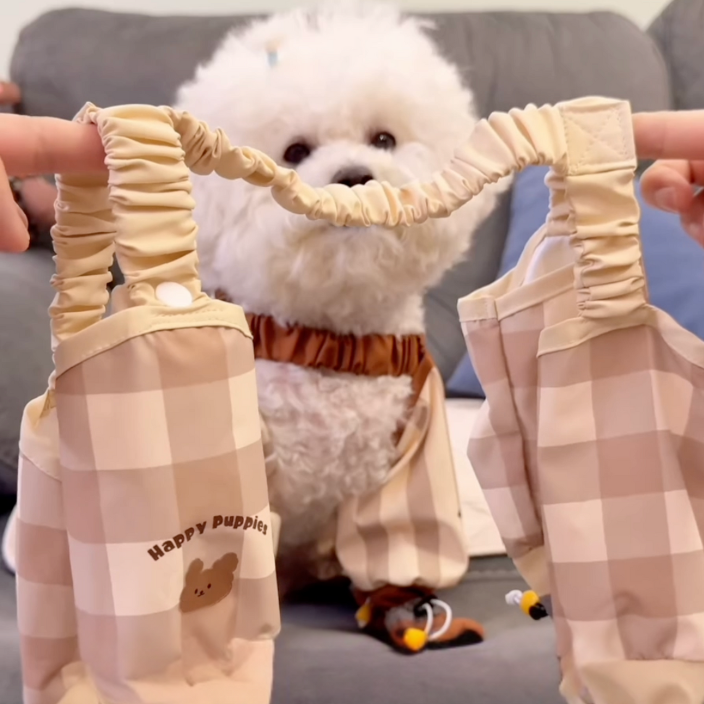 Chewie Viral Cozy Pants