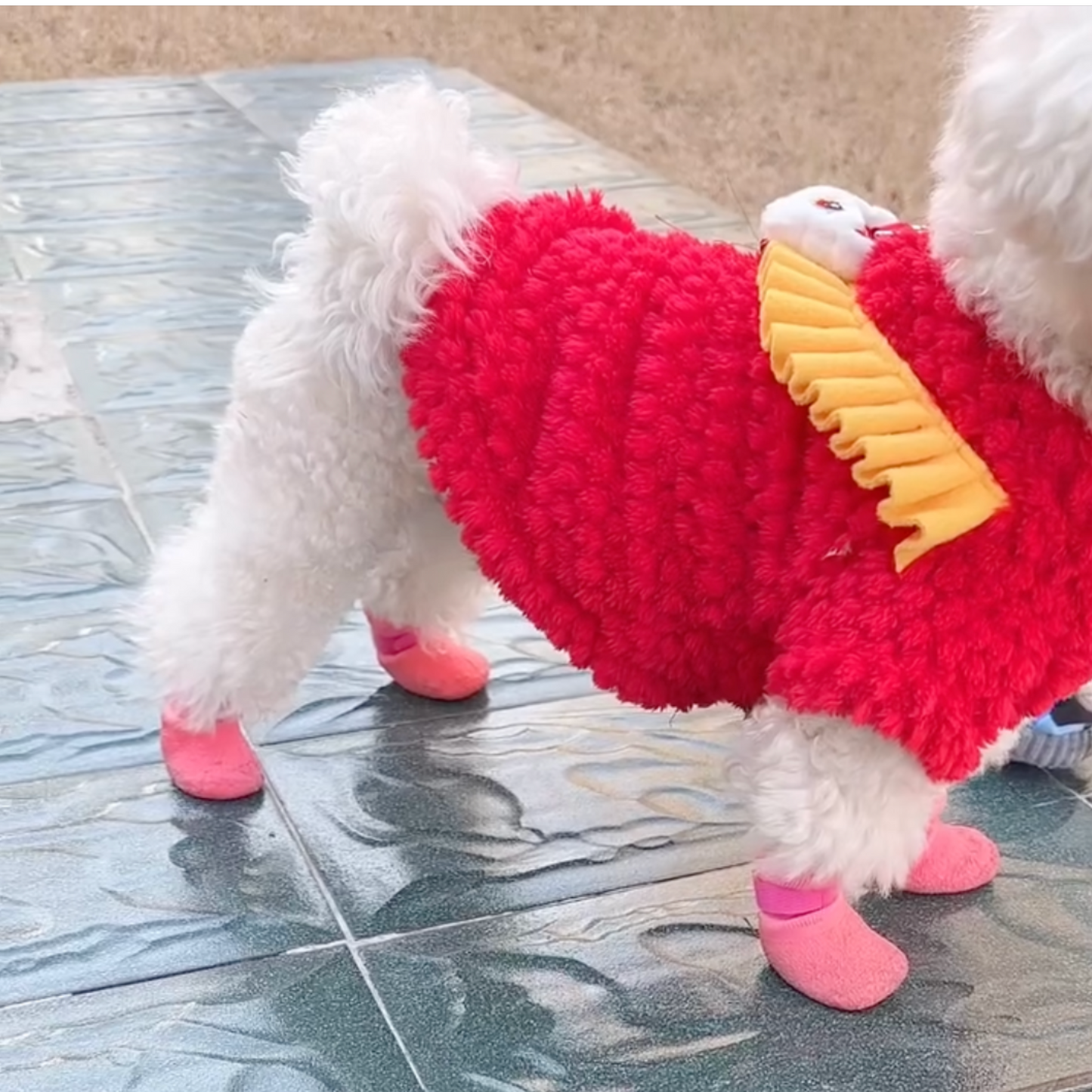 Chewie Cozy Shoes