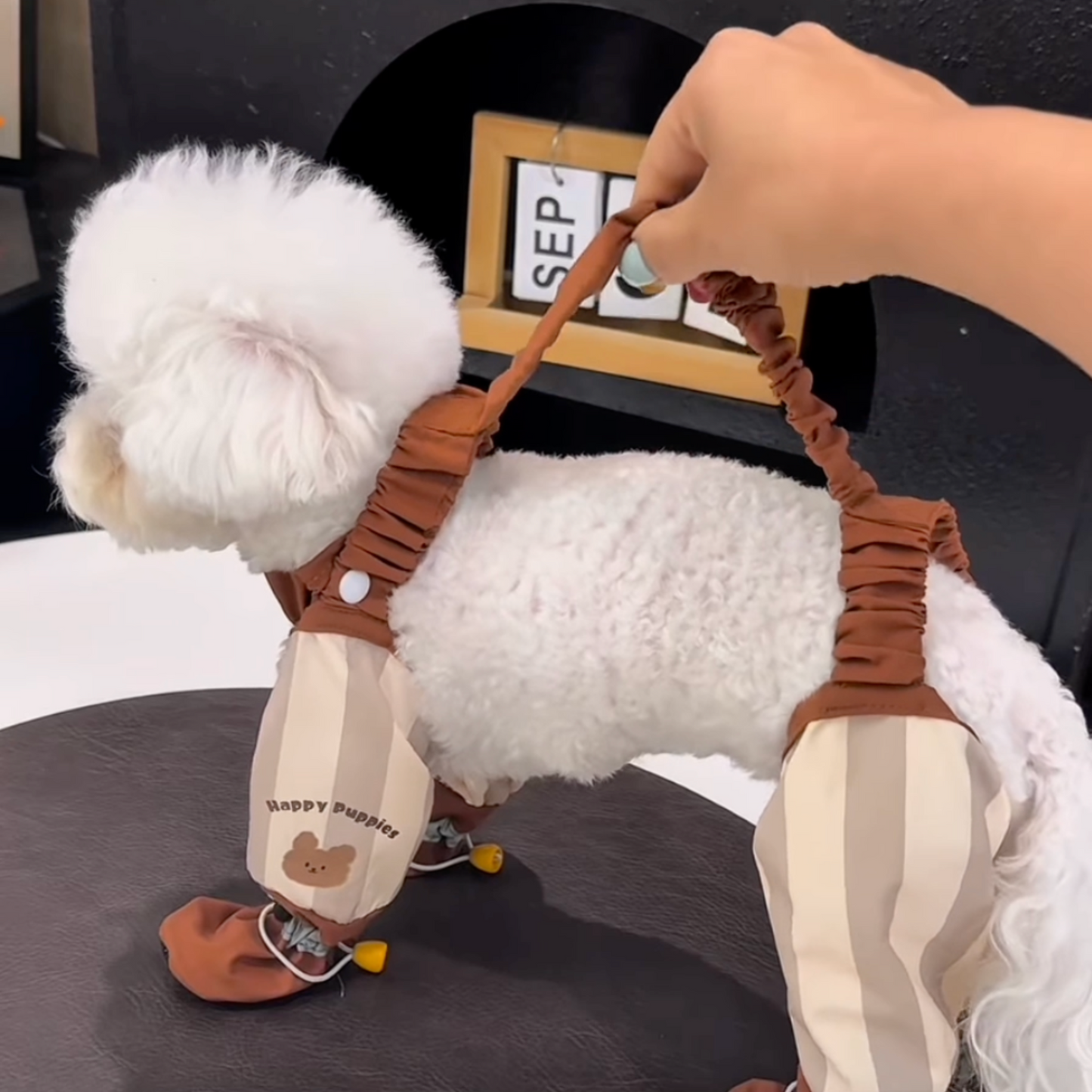 Chewie Viral Cozy Pants