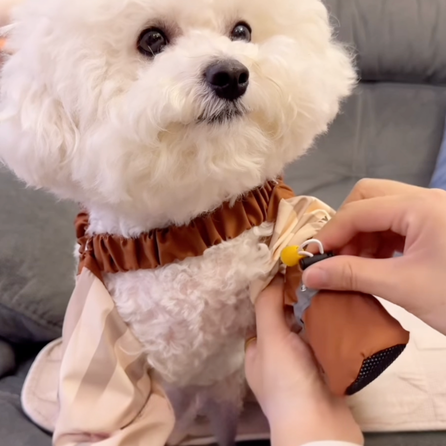 Chewie Viral Cozy Pants