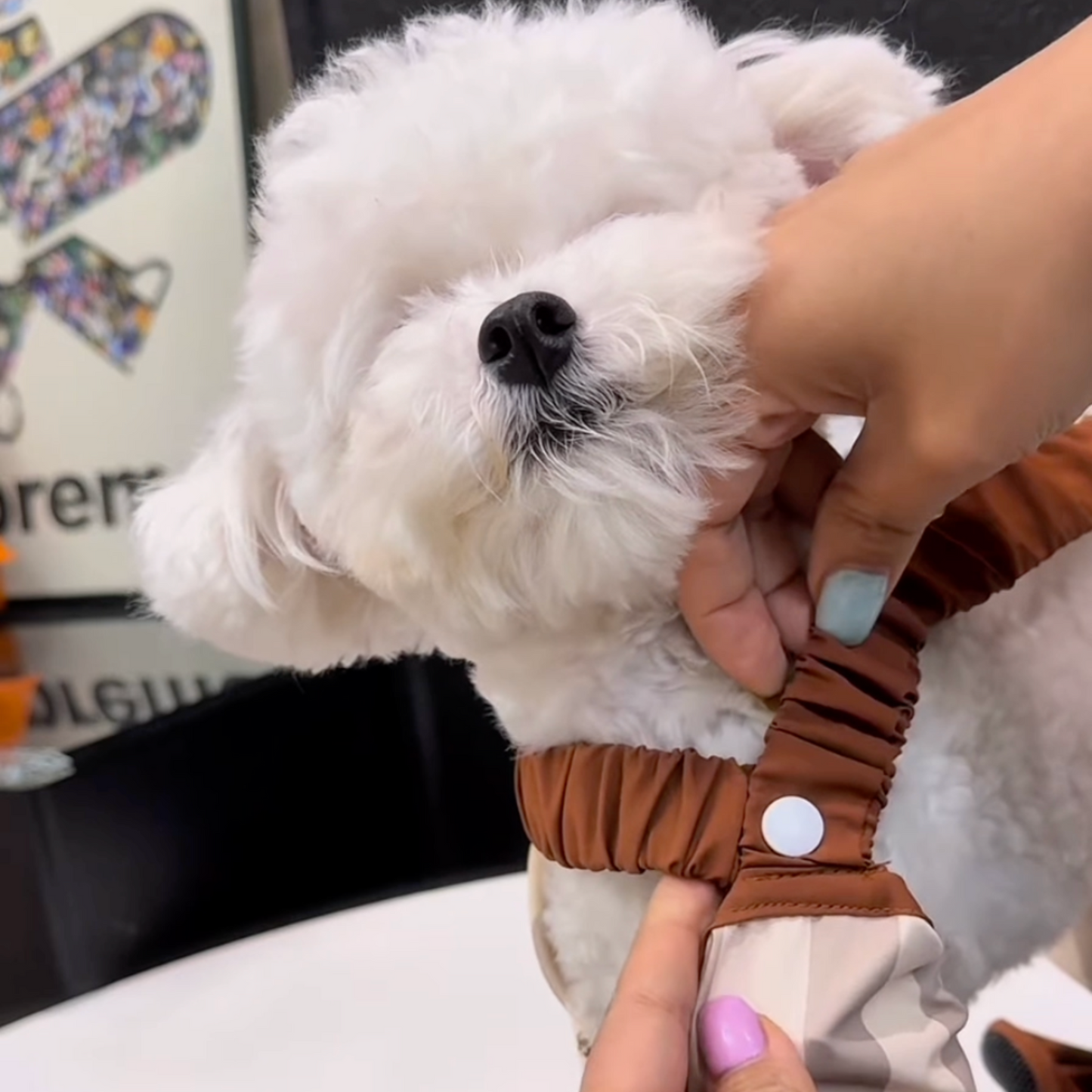 Chewie Viral Cozy Pants