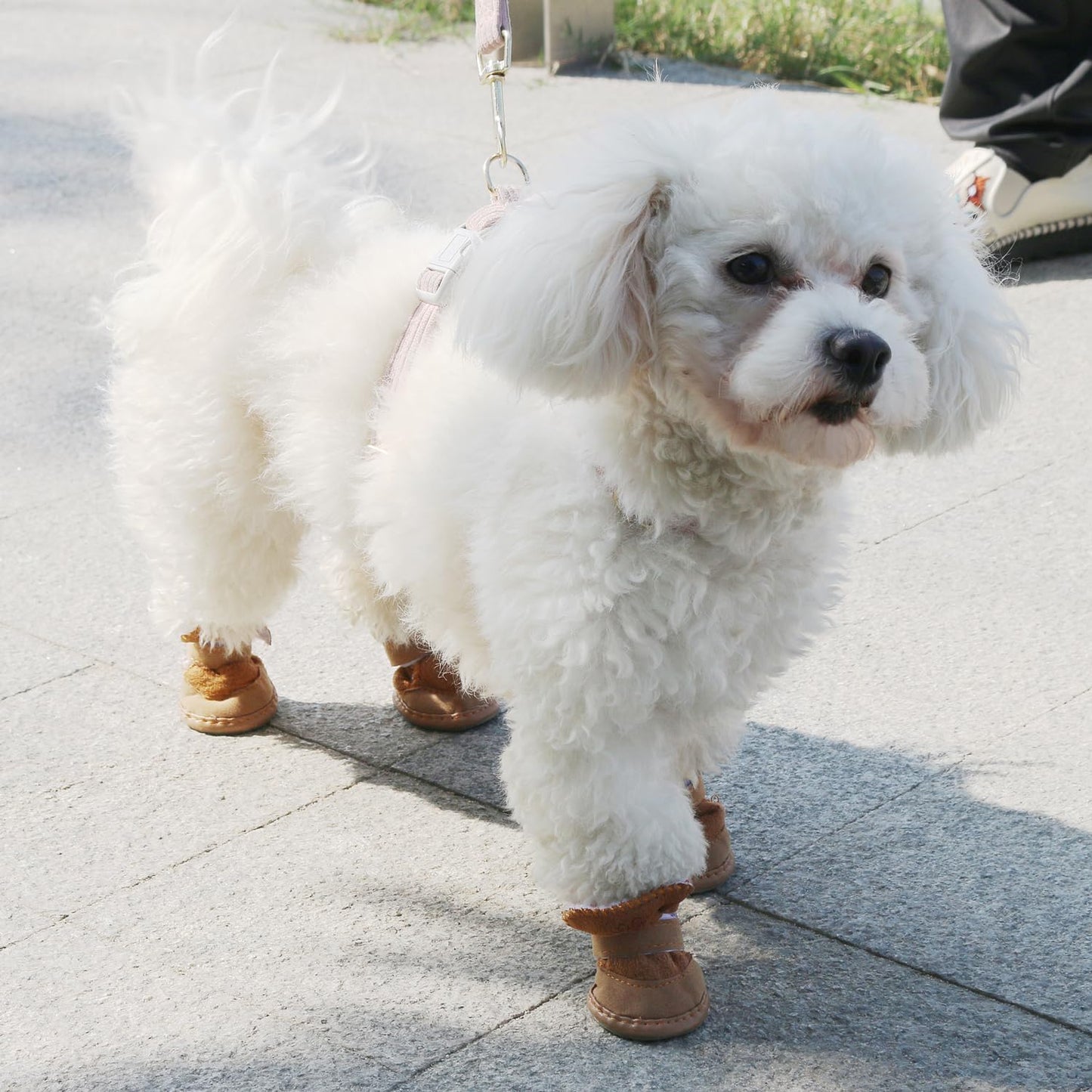 Chewie Cozy Winter Shoes