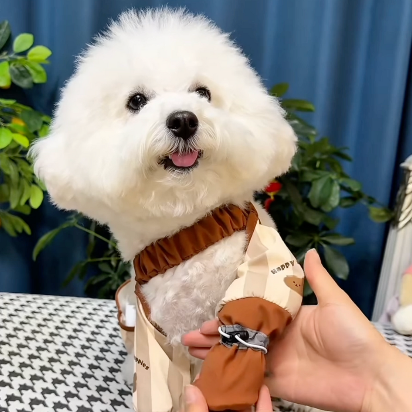Chewie Viral Cozy Pants