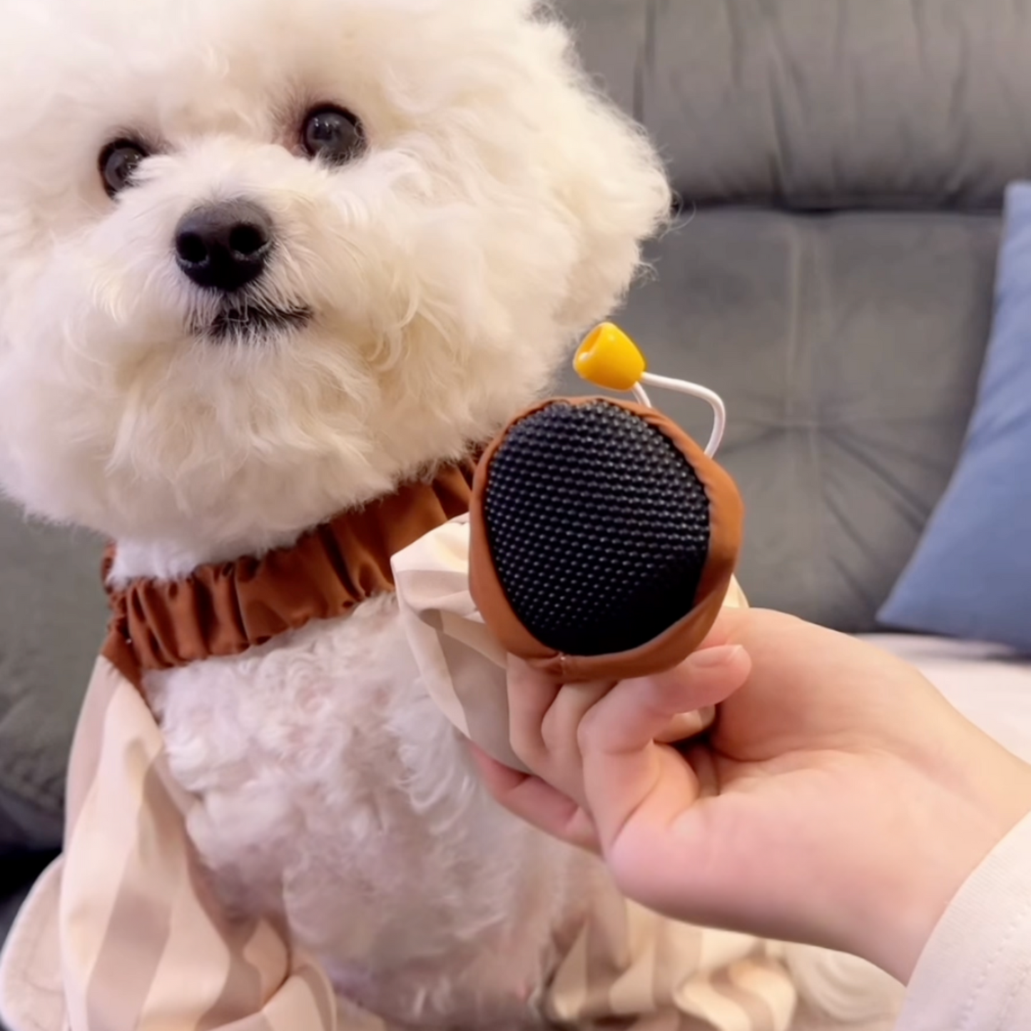 Chewie Viral Cozy Pants