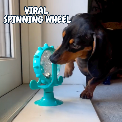 Chewie Viral Spinning Wheel