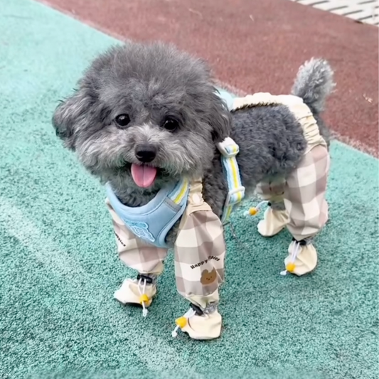 Chewie Viral Cozy Pants