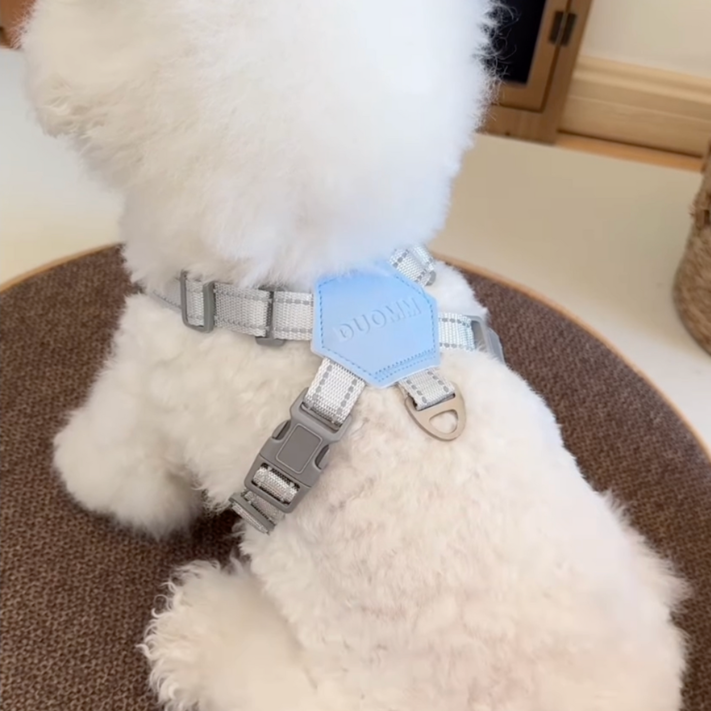 Chewie Cozy Harness