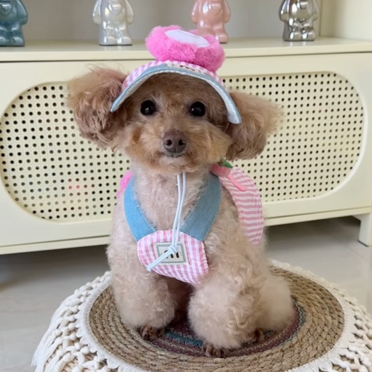 Chewie Viral Cozy Outfit