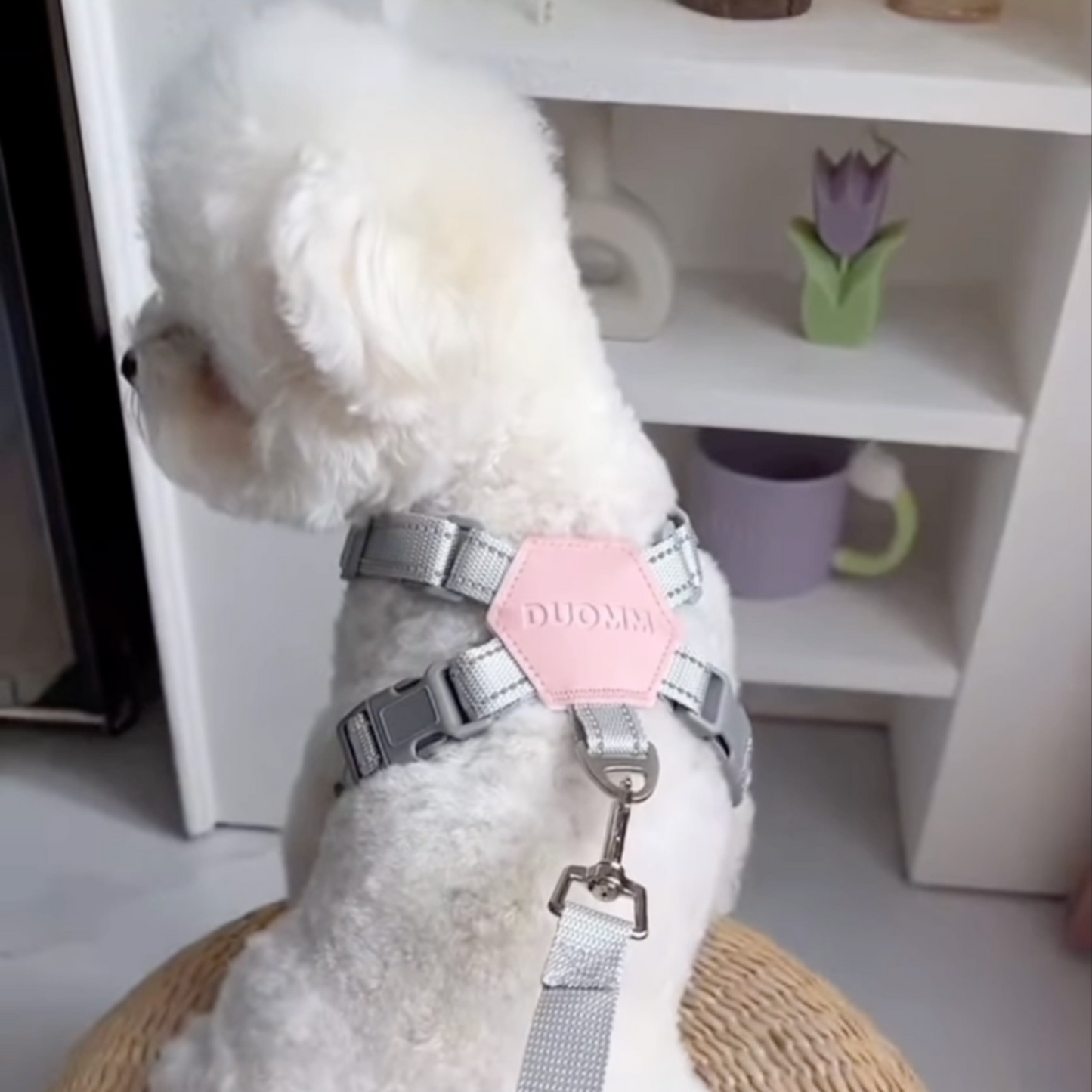 Chewie Cozy Harness