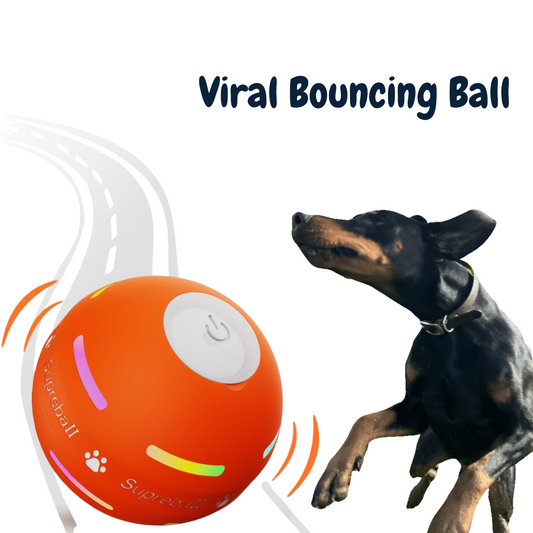 Chewie Viral Bouncing Ball